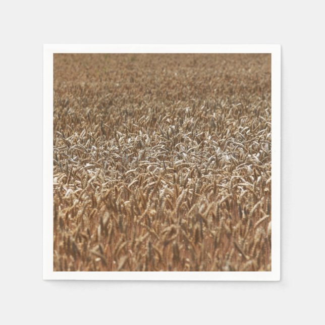Wheat Field Napkins (Front)