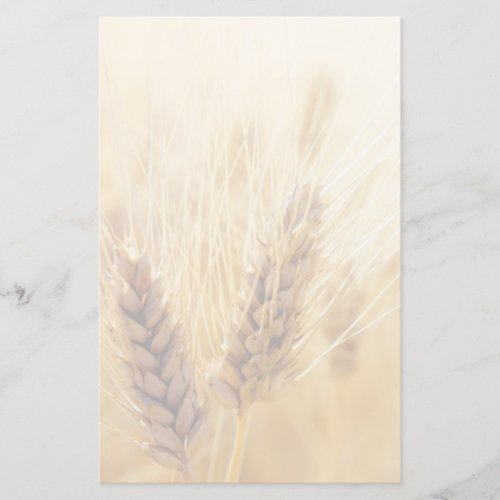 Wheat field stationery