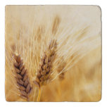 Wheat Field Trivet at Zazzle