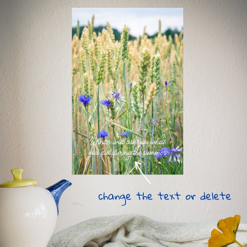 Wheat field with blue cornflowers poster