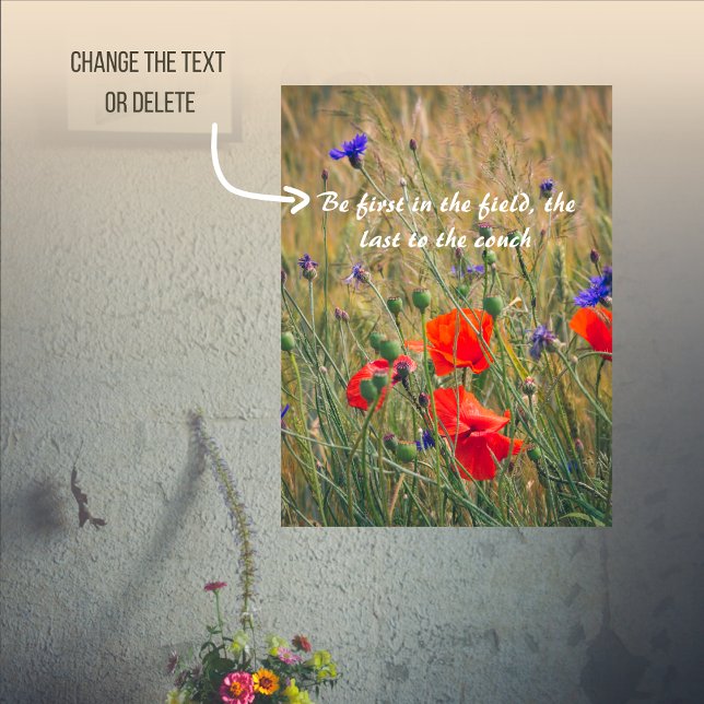 Wheat field with poppies and cornflowers poster (Creator Uploaded)