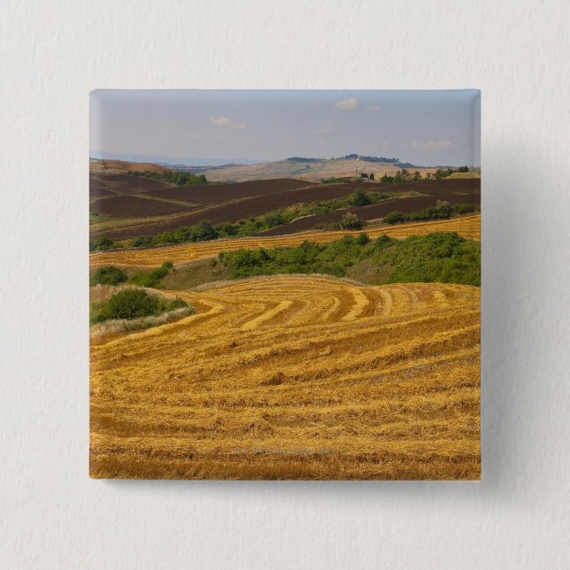 Wheat fields after harvest pinback button (Front)