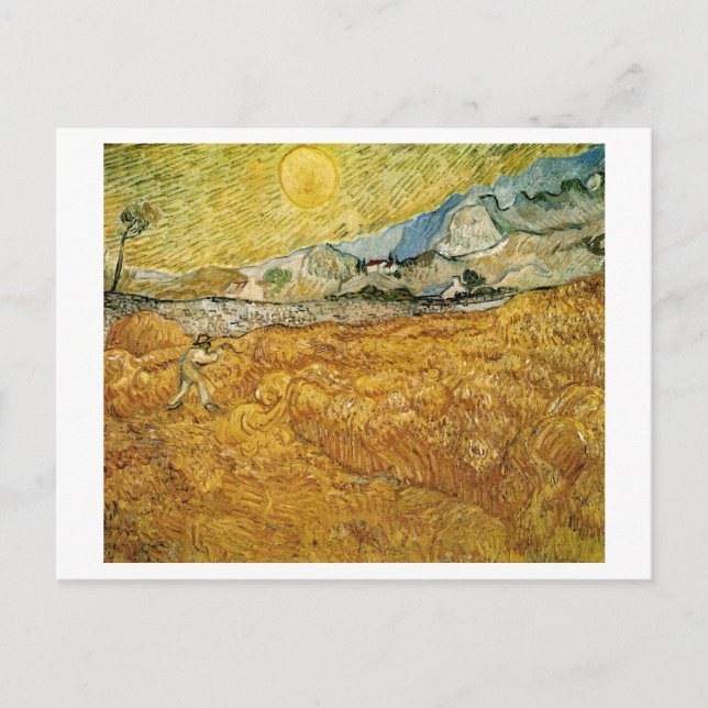 Wheat Fields Hospital Reaper Van Gogh Fine Art Postcard (Front)