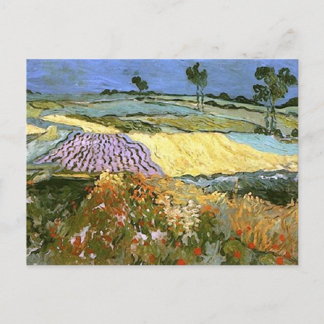 Wheat Fields Near Auvers Van Gogh Fine Art Postcard (Front)