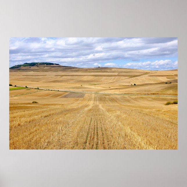 Wheat fields poster (Front)