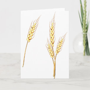 Wheat Greeting Cards