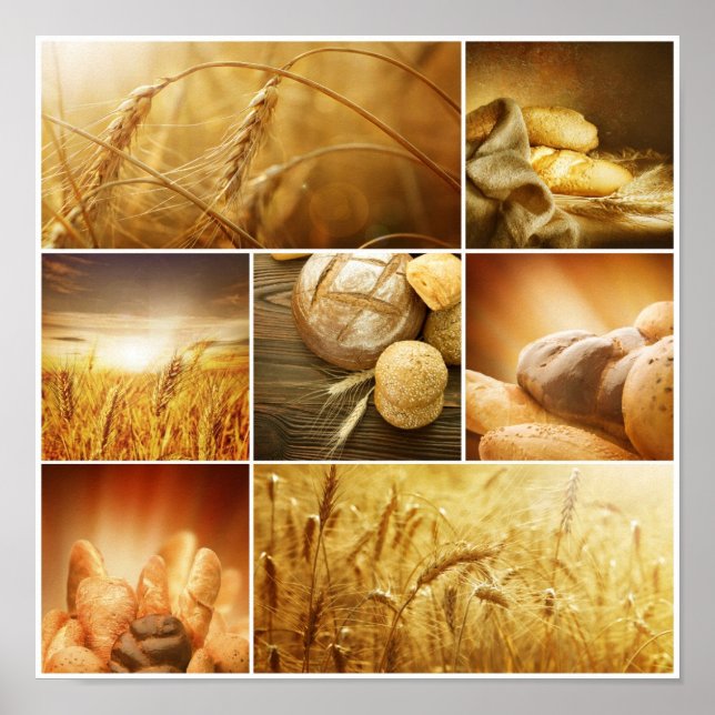 Wheat.Harvest concepts.Cereal collage Poster (Front)