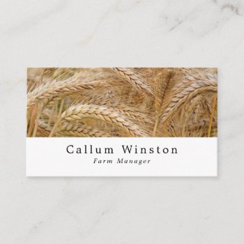 Wheat In Field  Farmer & Butcher Business Card by TheBusinessCardStore at Zazzle