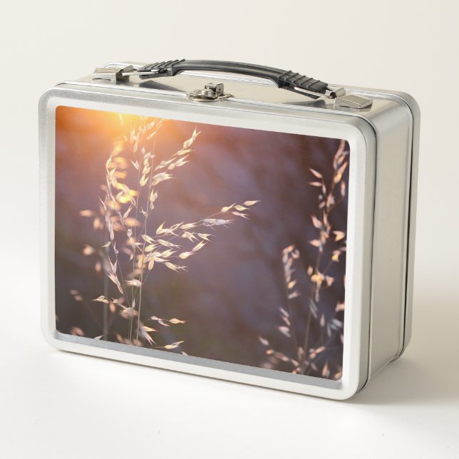 wheat in morning metal lunch box (Front)