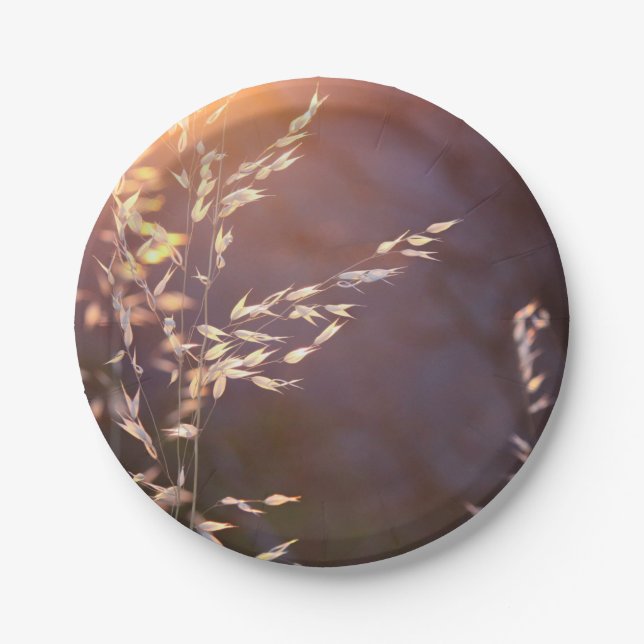 wheat in morning paper plates (Front)