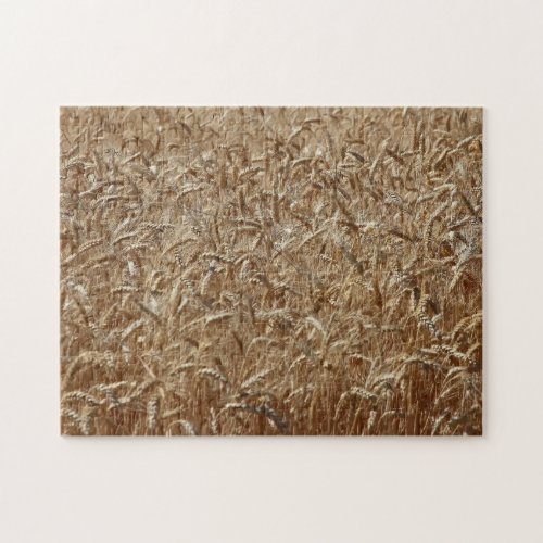 WHEAT JIGSAW PUZZLE