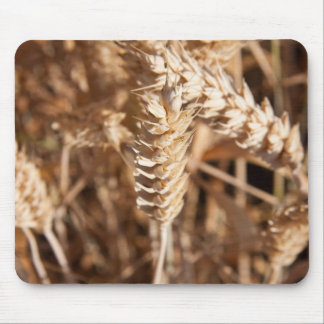 Wheat Mouse Pad