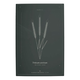 Wheat Sheaf Metal Wall Art, Dark Academia Botanica Print
