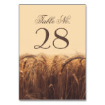 Wheat