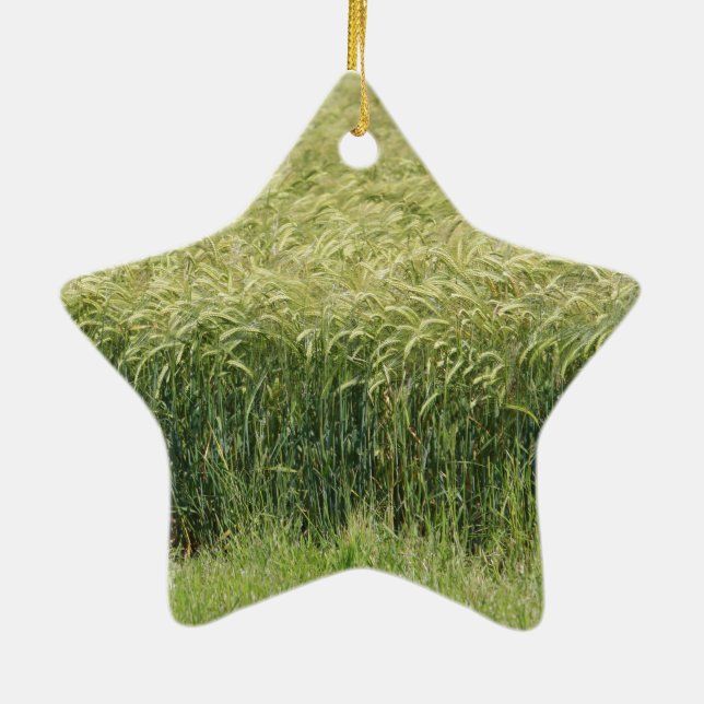 Wheat - Tasty! Ceramic Ornament (Back)