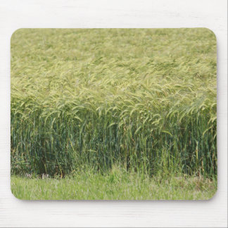 Wheat - Tasty! Mouse Pad