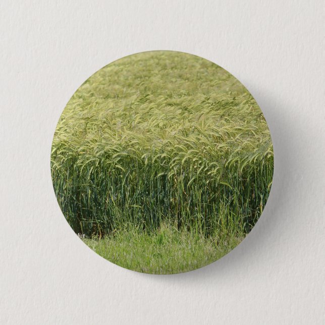Wheat - Tasty! Pinback Button (Front)