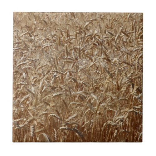 WHEAT TILE