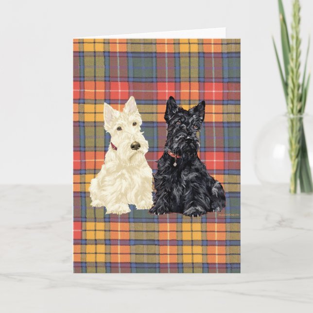 Wheaten and Black Scottish Terriers Card (Front)