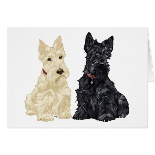 Wheaten and Black Scottish Terriers Cards (Front Horizontal)