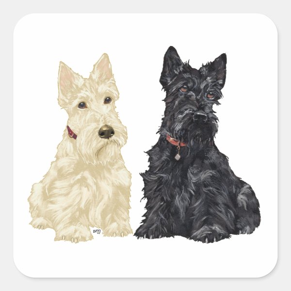 Personalized Wheaten Scottish Terrier Gifts on Zazzle