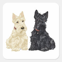 Wheaten and Black Scottish Terriers