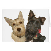 Wheaten & Black Scotties (Front Horizontal)