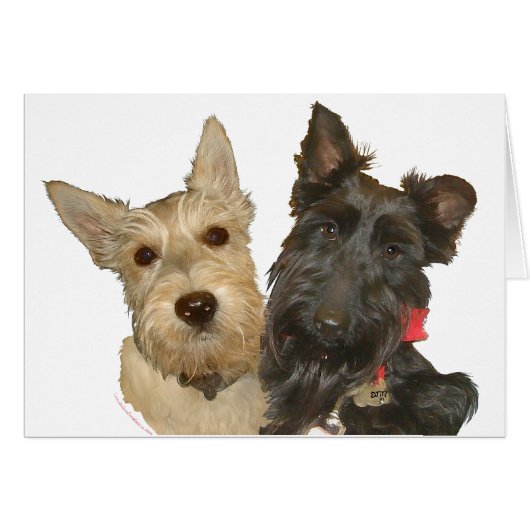 Wheaten & Black Scotties Cards (Front Horizontal)