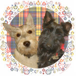 Wheaten & Black Scotties on Tartan Statuette<br><div class="desc">Each of the designs is available on all of the Zazzle products.  Please scroll to Transfer This Design on this product's page and choose your favorite product.  You may customize your choice with our Text Tool,  as well.  There are many marvelous Fonts to choose from.  Thank you!</div>