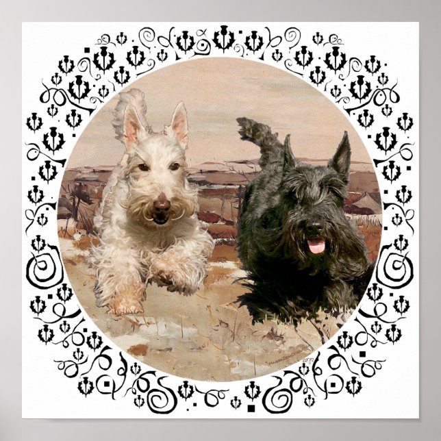 Wheaten & Black Scotties Running Poster (Front)
