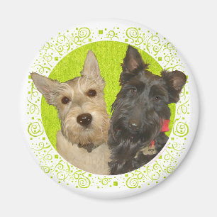 Wheaten & Black Scottish Terriers Magnet