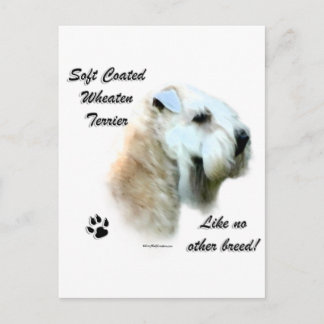 Wheaten Like No Other Breed Postcard