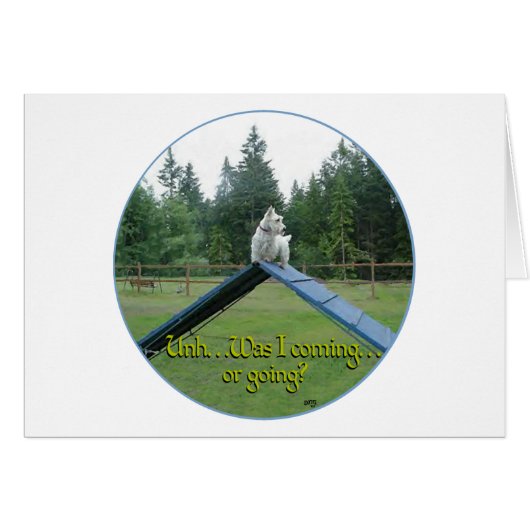 Wheaten Scottie Agility Cards (Front Horizontal)