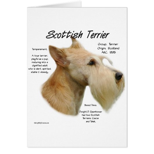 Wheaten Scottie History  (Front)