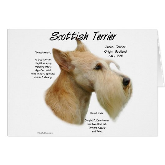 Wheaten Scottie History  Cards (Front Horizontal)