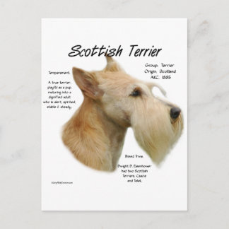 Wheaten Scottie History Postcard