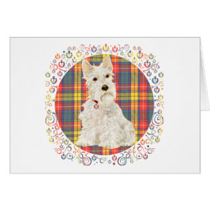 Wheaten Scottie on Buchanan Tartan Cards