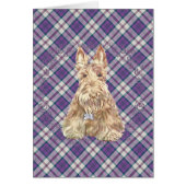 Wheaten Scottie Tartan (Front)