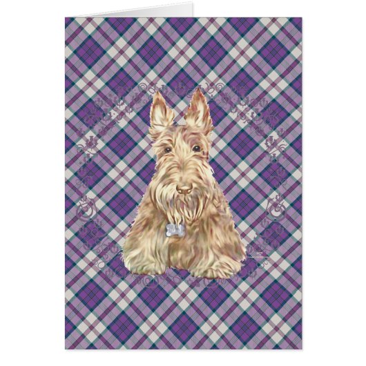 Wheaten Scottie Tartan (Front)