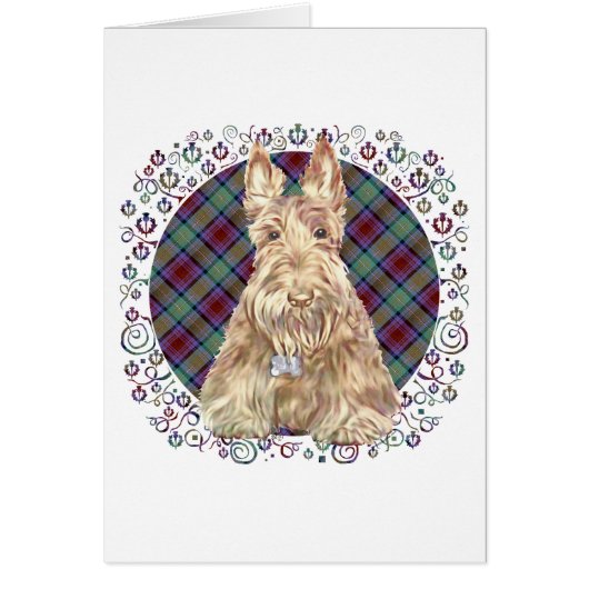 Wheaten Scottie Tartan Cards (Front)