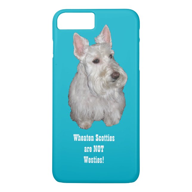Wheaten Scotties are NOT Westies! Turquoise backgr Case-Mate iPhone Case (Back)
