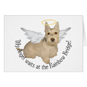 Wheaten Scottish Terrier Angels Cards