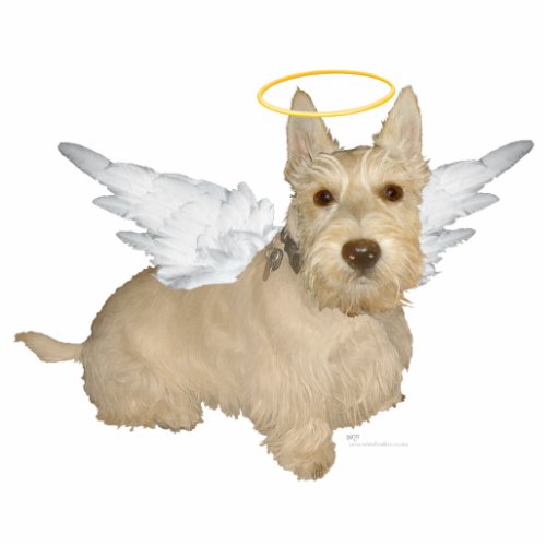 Wheaten Scottish Terrier Angels Cutout