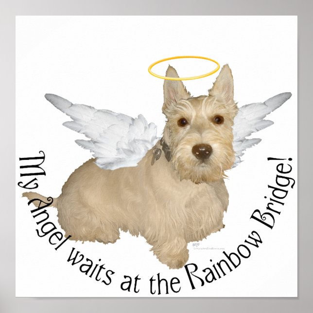 Wheaten Scottish Terrier Angels Poster (Front)