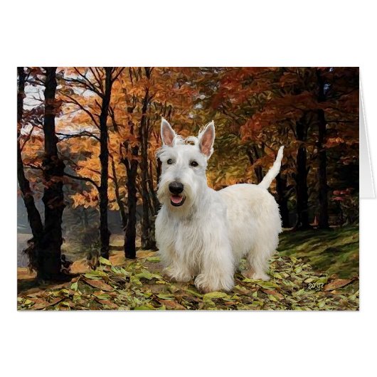 Wheaten Scottish Terrier Autumn (Front Horizontal)
