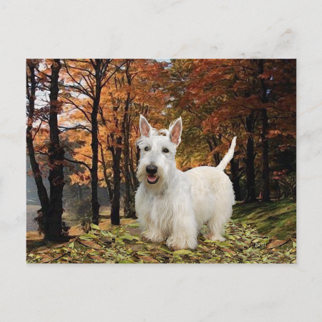 Wheaten Scottish Terrier Autumn Postcard (Front)