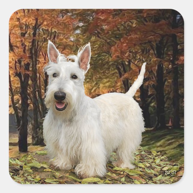 Wheaten Scottish Terrier Autumn Square Sticker (Front)