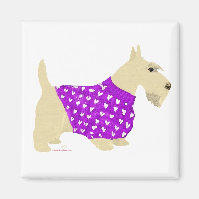Wheaten Scottish Terrier Sweater Magnet (Front)