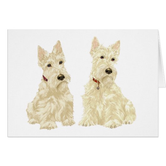 Wheaten Scottish Terriers Cards (Front Horizontal)