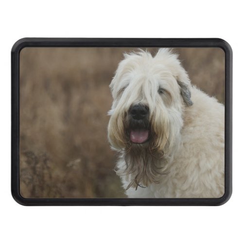 wheaten_terrier 2 tow hitch cover